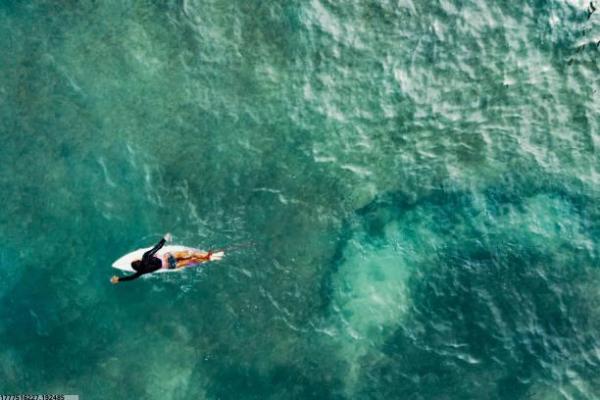 乐动体育少儿培训教学模式解析(图1)