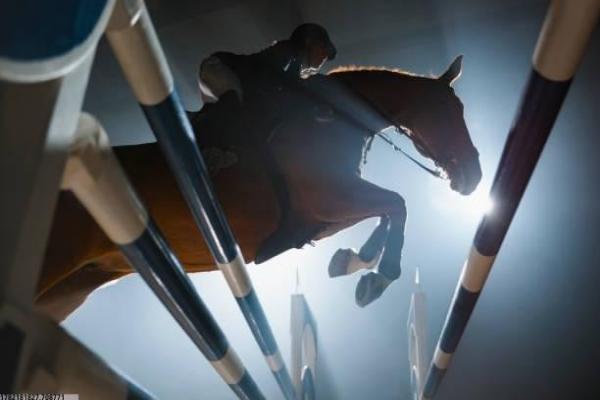 体育场路改造项目进展及影响分析 体育场路改造项目进展及影响分析(图1)